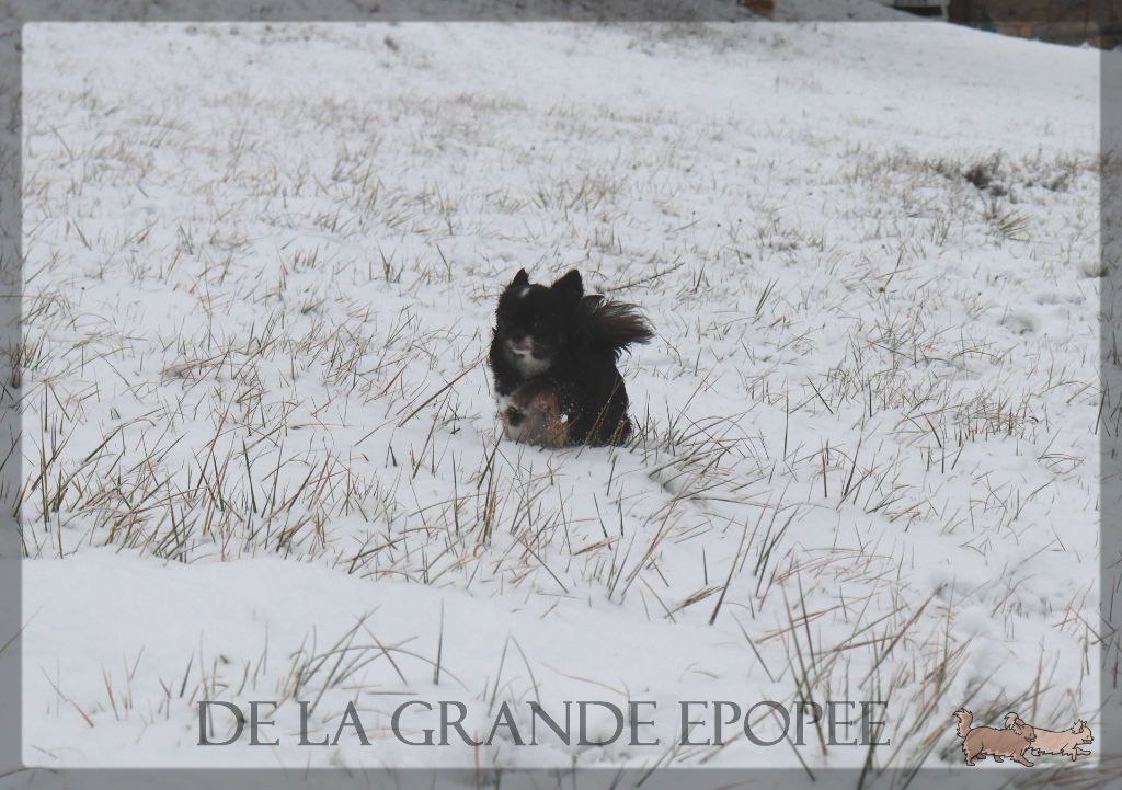 Naria des Tresors du Mont Ventoux